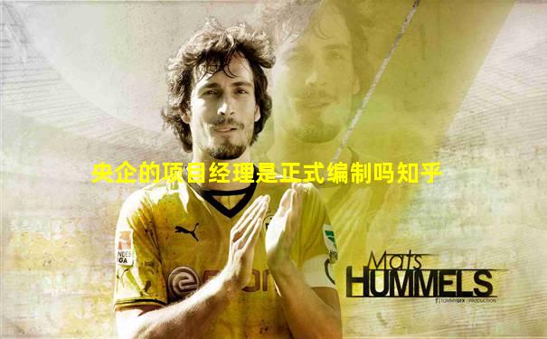 央企的项目经理是正式编制吗知乎