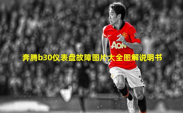 奔腾b30仪表盘故障图片大全图解说明书