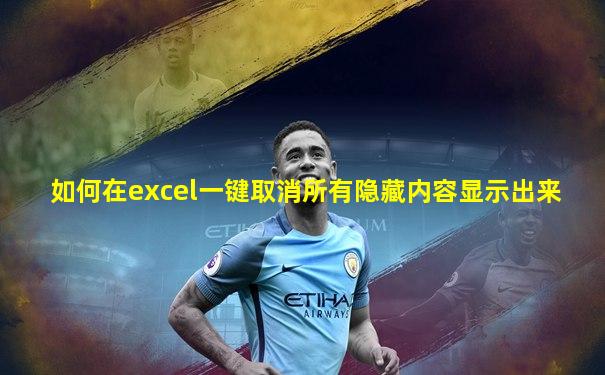 如何在excel一键取消所有隐藏内容显示出来