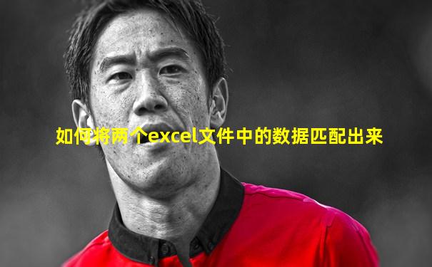 如何将两个excel文件中的数据匹配出来
