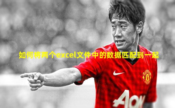 如何将两个excel文件中的数据匹配到一起