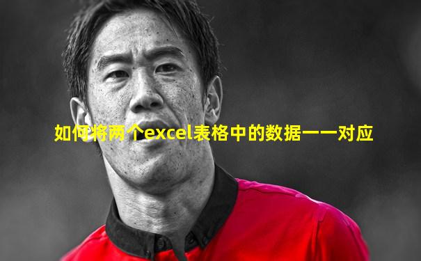 如何将两个excel表格中的数据一一对应