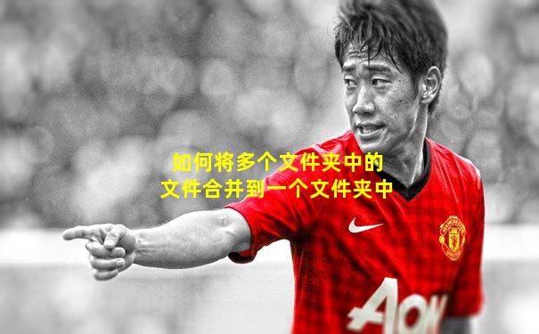 如何将多个文件夹中的文件合并到一个文件夹中