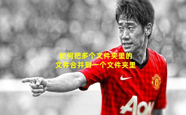 如何把多个文件夹里的文件合并到一个文件夹里