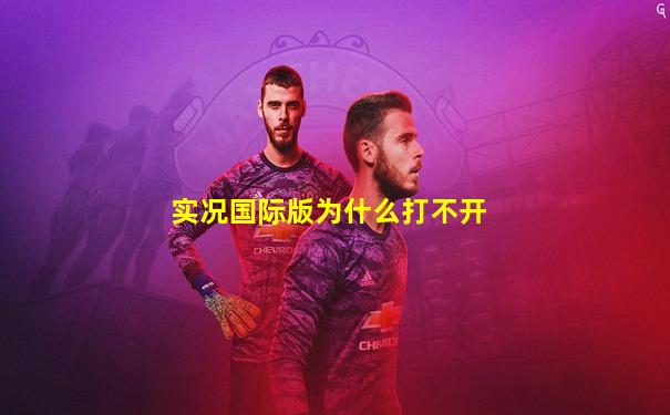实况国际版为什么打不开