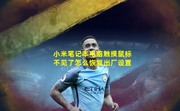 小米笔记本电脑触摸鼠标不见了怎么恢复出厂设置