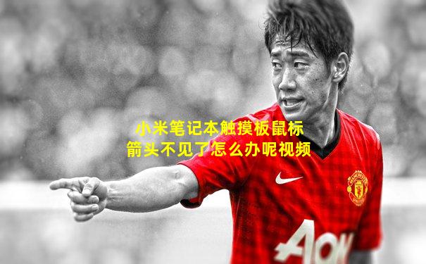 小米笔记本触摸板鼠标箭头不见了怎么办呢视频
