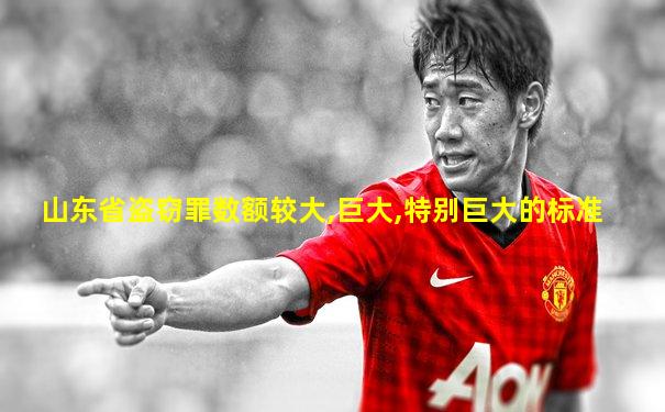 山东省盗窃罪数额较大,巨大,特别巨大的标准
