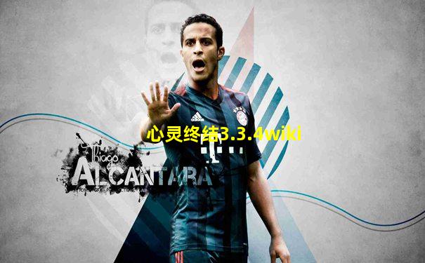 心灵终结3.3.4wiki