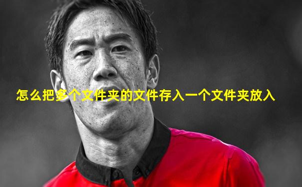 怎么把多个文件夹的文件存入一个文件夹放入