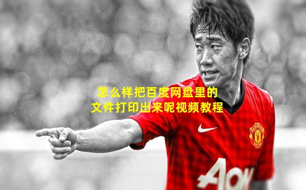 怎么样把百度网盘里的文件打印出来呢视频教程
