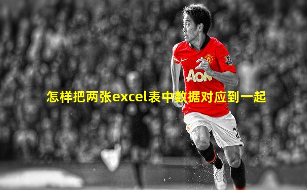 怎样把两张excel表中数据对应到一起