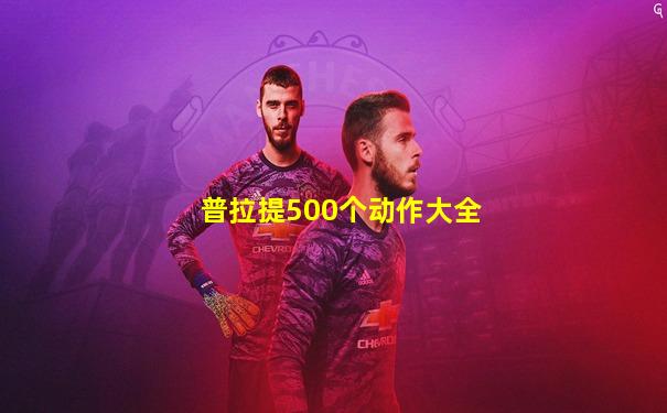 普拉提500个动作大全