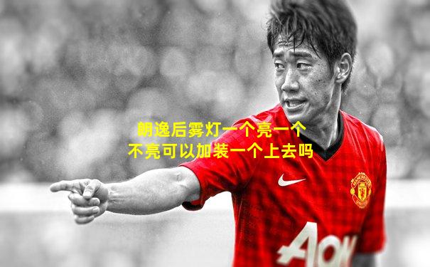 朗逸后雾灯一个亮一个不亮可以加装一个上去吗