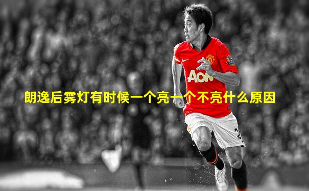 朗逸后雾灯有时候一个亮一个不亮什么原因