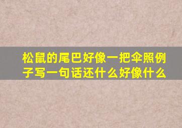 松鼠的尾巴好像一把伞照例子写一句话还什么好像什么