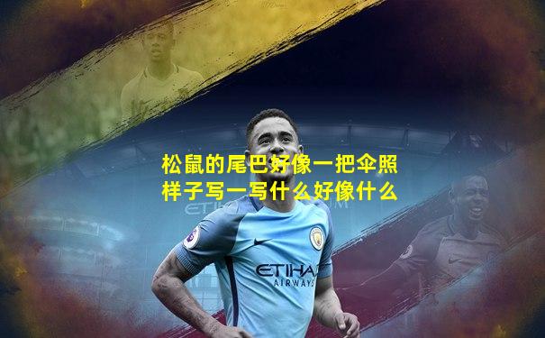 松鼠的尾巴好像一把伞照样子写一写什么好像什么
