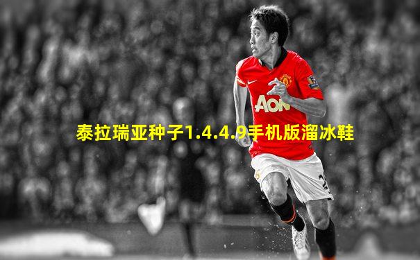 泰拉瑞亚种子1.4.4.9手机版溜冰鞋