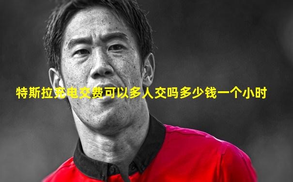 特斯拉充电交费可以多人交吗多少钱一个小时