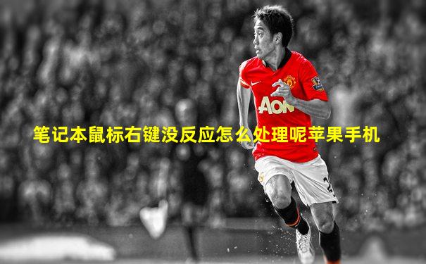 笔记本鼠标右键没反应怎么处理呢苹果手机