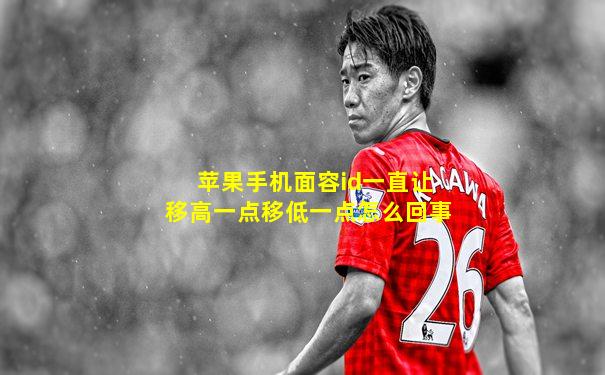 苹果手机面容id一直让移高一点移低一点怎么回事