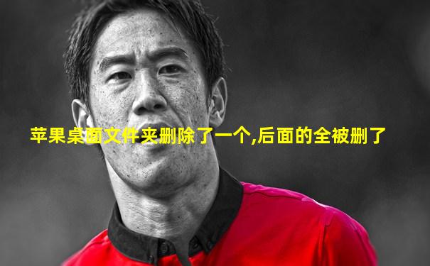 苹果桌面文件夹删除了一个,后面的全被删了