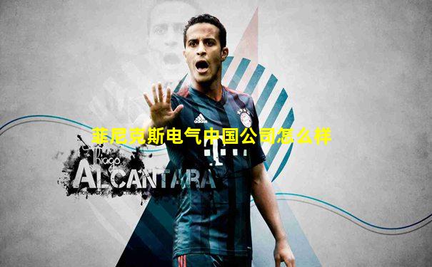 菲尼克斯电气中国公司怎么样