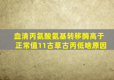 血清丙氨酸氨基转移酶高于正常值11古草古丙低啥原因