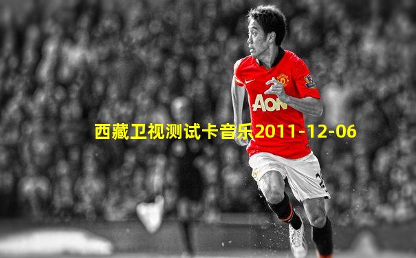 西藏卫视测试卡音乐2011-12-06