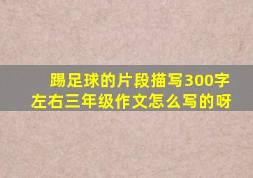 踢足球的片段描写300字左右三年级作文怎么写的呀