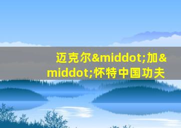 迈克尔·加·怀特中国功夫