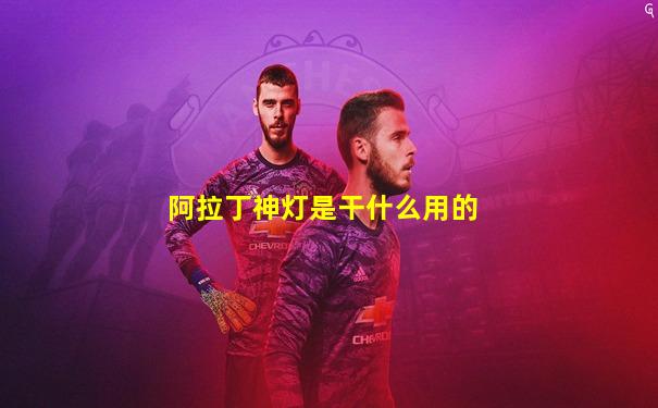 阿拉丁神灯是干什么用的