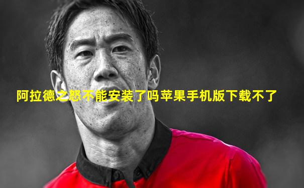 阿拉德之怒不能安装了吗苹果手机版下载不了