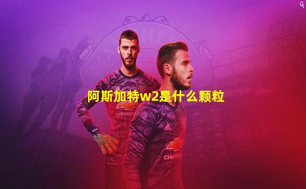 阿斯加特w2是什么颗粒