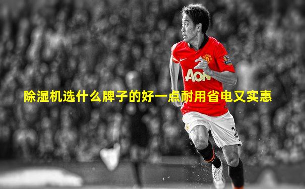 除湿机选什么牌子的好一点耐用省电又实惠